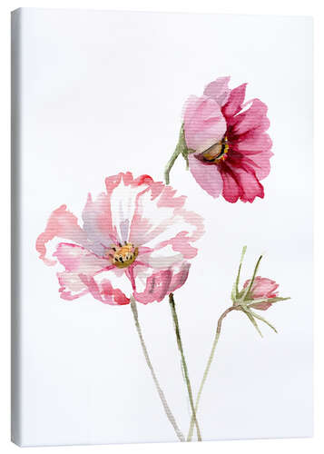 Stampa su tela Cosmos flower