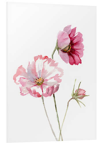 Foam board print Cosmos flower