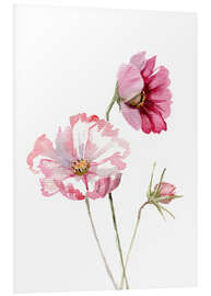 Quadro em PVC Cosmos flower