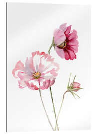 Tableau en plexi-alu Fleurs de cosmos