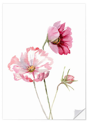 Muursticker Cosmos flower