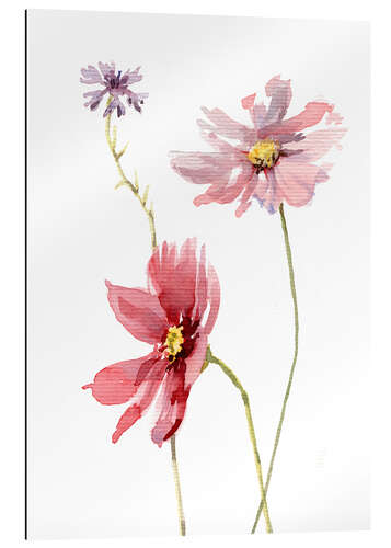 Gallery print Cosmos flower and cornflower