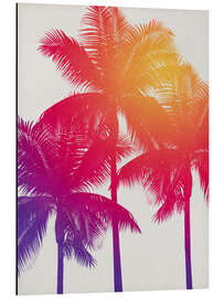 Stampa su alluminio palm tree colours