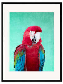 Gerahmter Kunstdruck Tropischer Ara