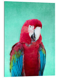 Tableau en plexi-alu Tropical macaw