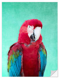 Wall sticker Tropical macaw