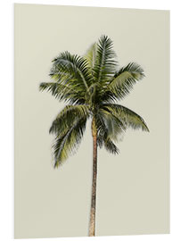 PVC print Palm tree