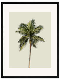 Gerahmter Kunstdruck Palme