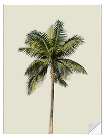 Wall sticker Palm tree