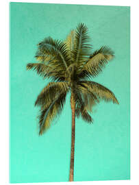 Cuadro de metacrilato Palm tree