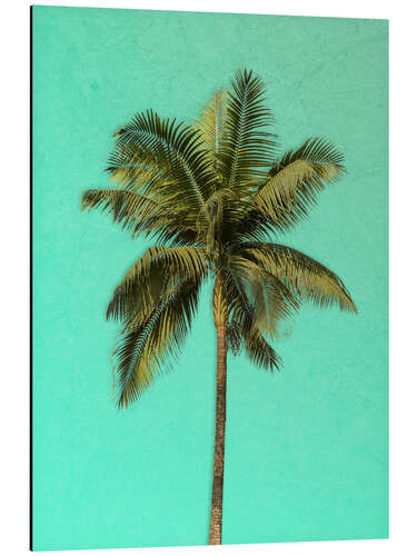 Aluminium print Palm tree