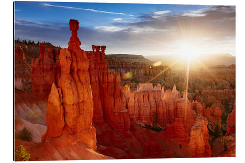 Quadro em plexi-alumínio Landscape: beautiful sunrise at Bryce canyon, Utah, USA