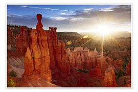 Poster Landscape: beautiful sunrise at Bryce canyon, Utah, USA