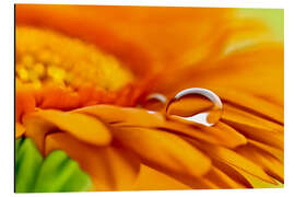 Magnettafel Gerbera mit Tropfen