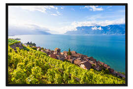 Gerahmter Kunstdruck Weindorf St. Saphorin im Lavaux