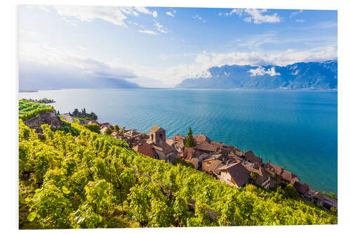 Obraz na PCV St. Saphorin in the Lavaux region