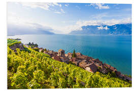 Foam board print St. Saphorin in the Lavaux region