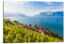 Magnettafel Weindorf St. Saphorin im Lavaux