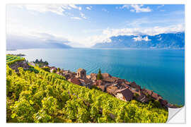 Selvklebende plakat St. Saphorin in the Lavaux region