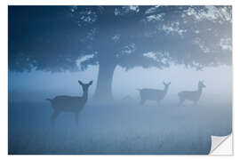 Naklejka na ścianę Deer in mist