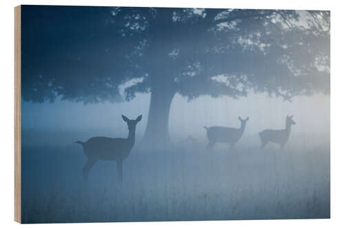 Hout print Deer in mist