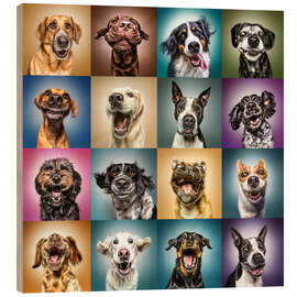Stampa su legno  Funny Dog Faces - Manuela Kulpa