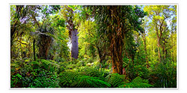 Poster  New Zealand Waipoua Forest - Michael Rucker