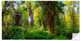 Vinilo para la pared New Zealand Waipoua Forest