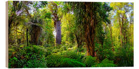 Holzbild Neuseeland Waipoua Forest