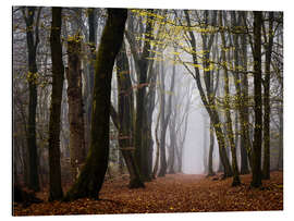 Alubild Walk Beneath the Yellow Leaves