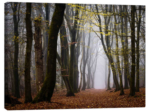 Tableau sur toile Walk Beneath the Yellow Leaves