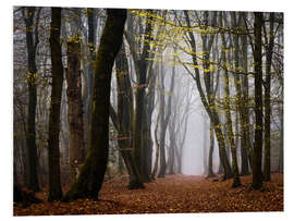 Foam board print Walk Beneath the Yellow Leaves