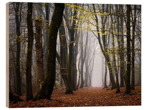 Stampa su legno Walk Beneath the Yellow Leaves