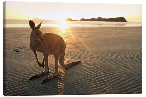 Leinwandbild Guten Morgen Australien