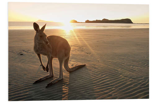 Tableau en PVC Bonjour l'Australie 