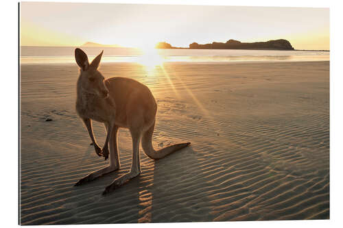 Galleriprint Good Morning Australia