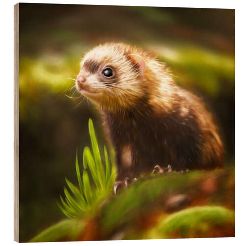 Wood print cute ferret