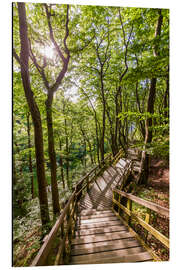 Tableau en aluminium Footpath on Moen Island