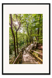 Gerahmter Kunstdruck Waldweg auf der Insel Mön