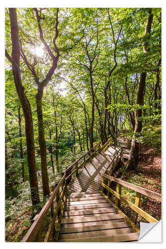 Naklejka na ścianę Footpath on Moen Island