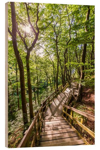 Holzbild Waldweg auf der Insel Mön