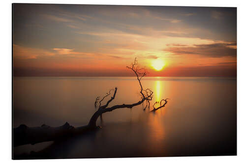 Aluminium print Sunset Baltic West beach