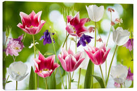 Canvas print  Tulips and columbine flowers