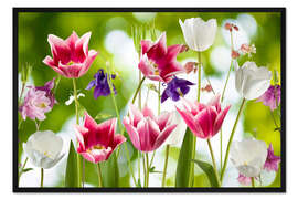 Gerahmter Kunstdruck Tulpen und Akelei