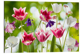 Magnettafel Tulpen und Akelei