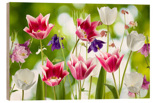 Wood print Tulips and columbine flowers