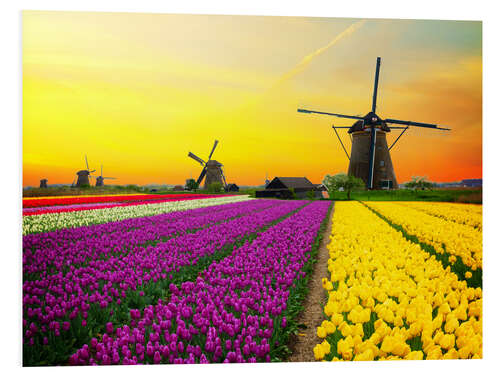 Hartschaumbild Holländische Windmühlen und Tulpenfelder