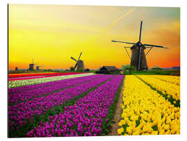 Magnettafel Holländische Windmühlen und Tulpenfelder