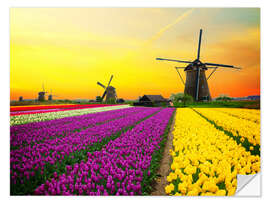 Muursticker Dutch windmills and fields of tulips