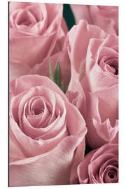 Tableau en aluminium Roses de couleur vieux rose